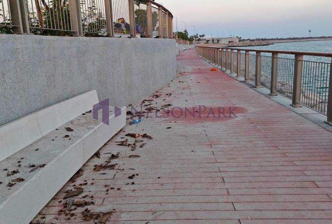 57407859 - Property Image 2