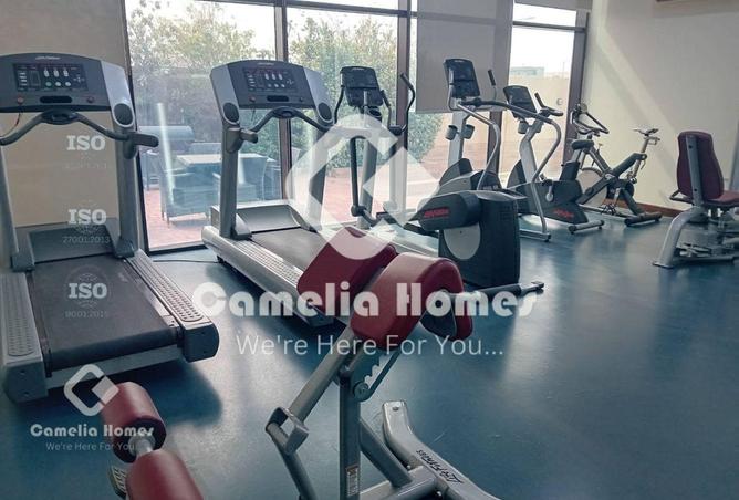 998357 - Property Image 3